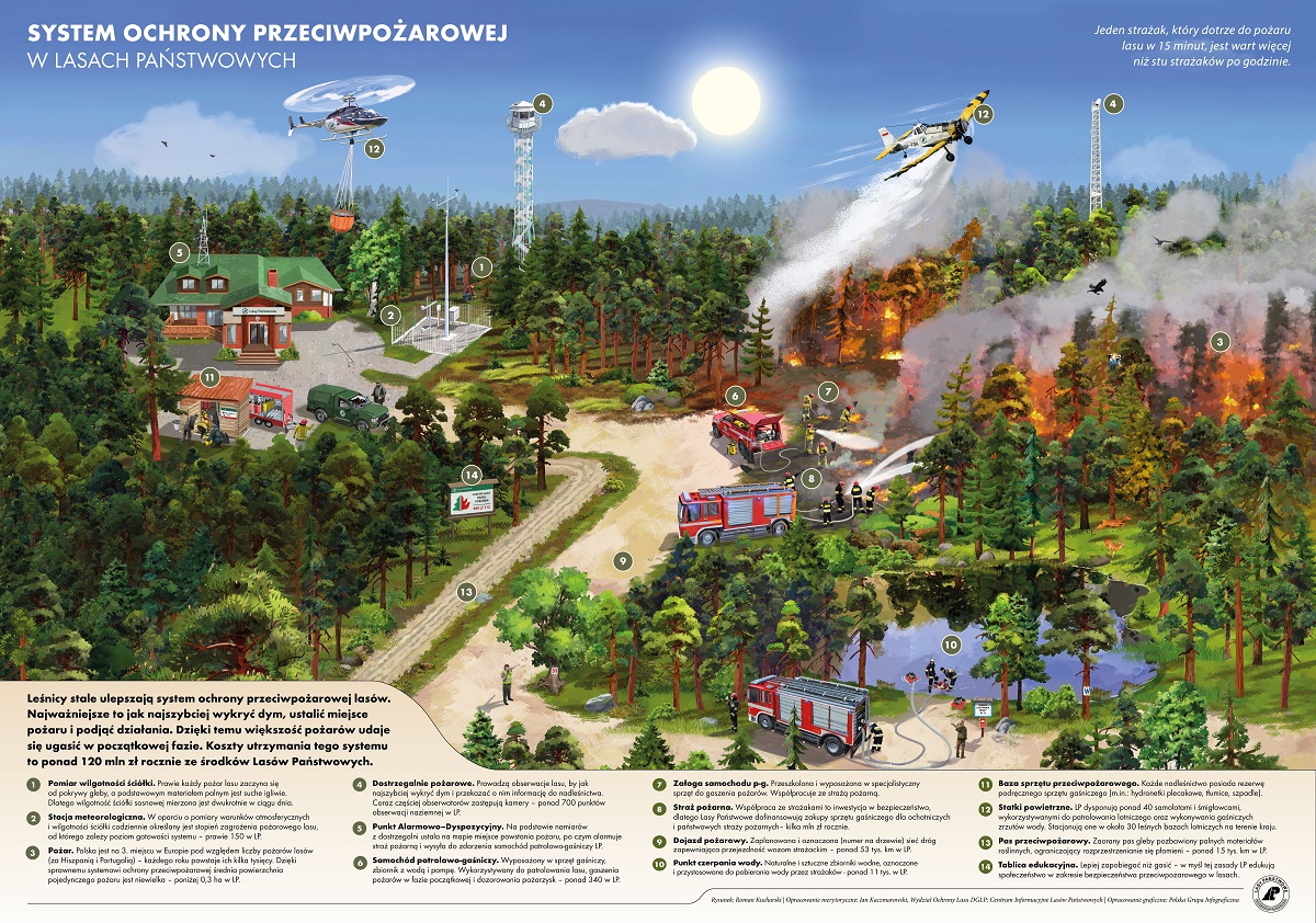 Grafika przedstawiająca System Ochrony Przeciwpożarowej w Lasach Państwowych