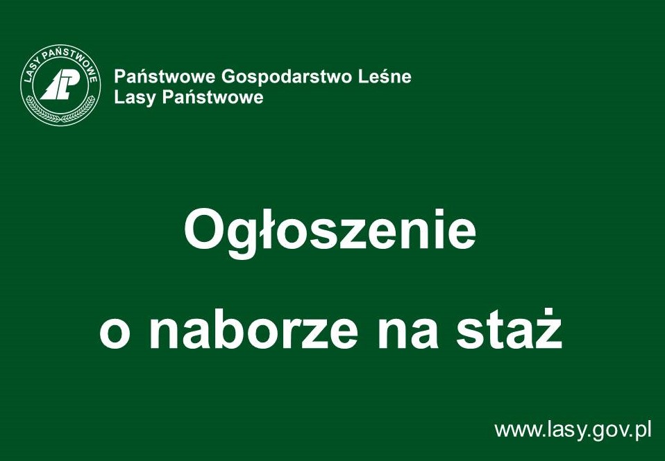 Ogłoszenie o naborze na staż