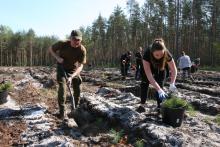 Udane sadzenie w ramach ogólnopolskiej akcji Lasów Państwowych „1 000 drzew na minutę”