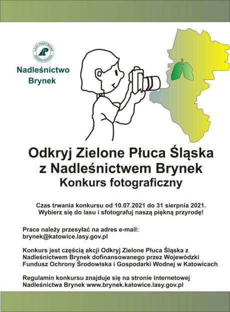 Wyniki konkursu fotograficznego przeprowadzonego w ramach akcji "Odkryj Zielone Płuca Śląska razem z Nadleśnictwem Brynek"